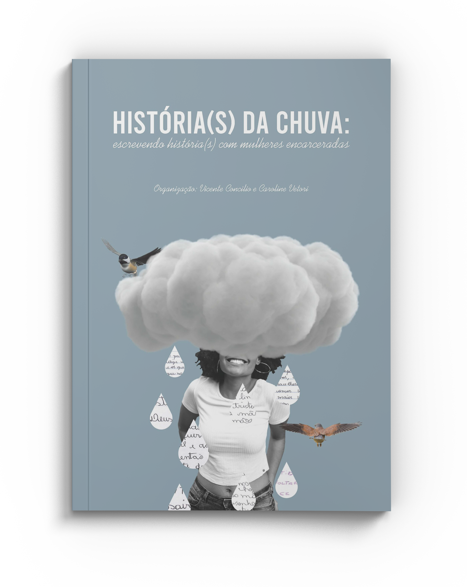 Você está visualizando atualmente Lançamento! História(s) da chuva: escrevendo história(s) com mulheres encarceradas | Vicente Concilio & Caroline Vetori (orgs.)