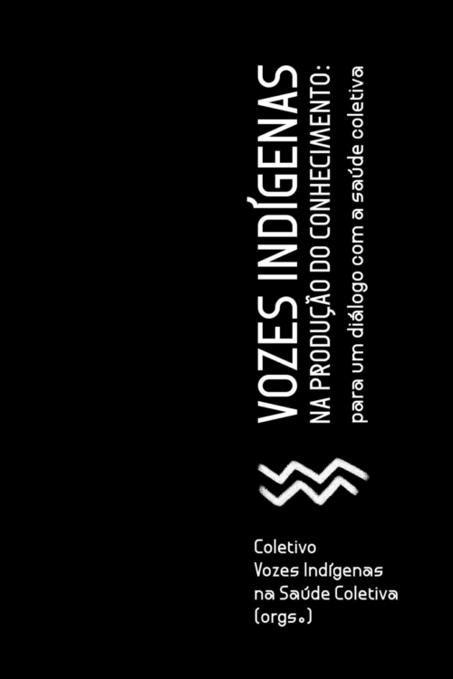 Vozes indígenas na produção do conhecimento: para um diálogo com a saúde coletiva | Coletivo Vozes Indígenas na Saúde Coletiva
