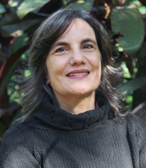 Elizabeth Maria Freire de Araújo Lima
