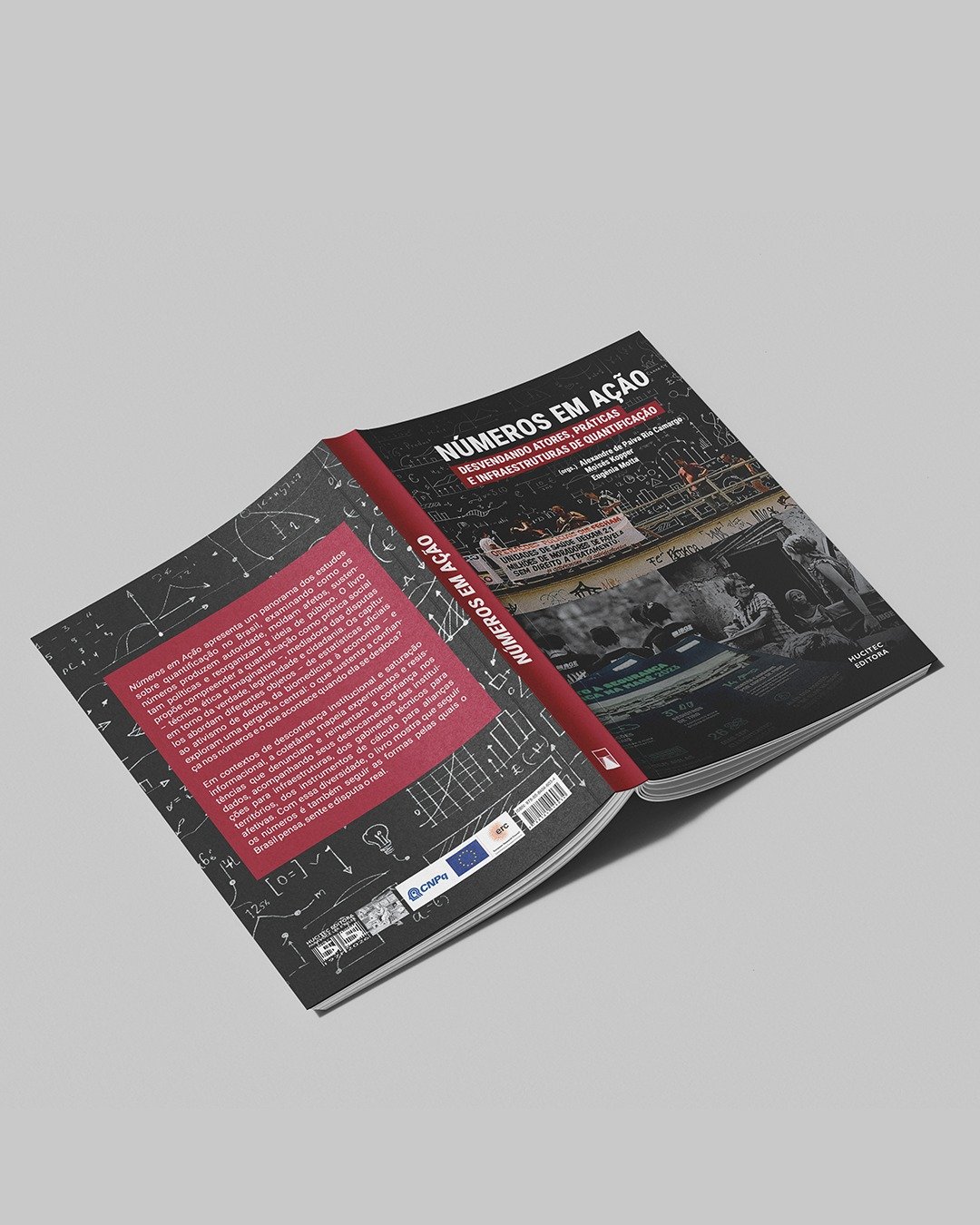 Números em ação: desvendando atores, práticas e infraestruturas de quantificação | Alexandre de Paiva Rio Camargo, Moisés Kopper, Eugênia Motta (orgs.) - Imagem 3