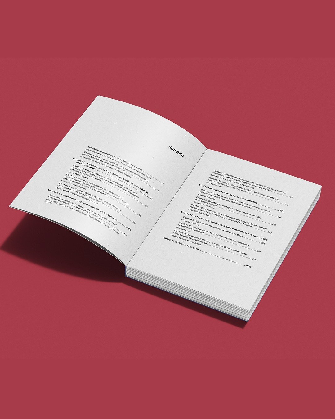 Números em ação: desvendando atores, práticas e infraestruturas de quantificação | Alexandre de Paiva Rio Camargo, Moisés Kopper, Eugênia Motta (orgs.) - Imagem 4