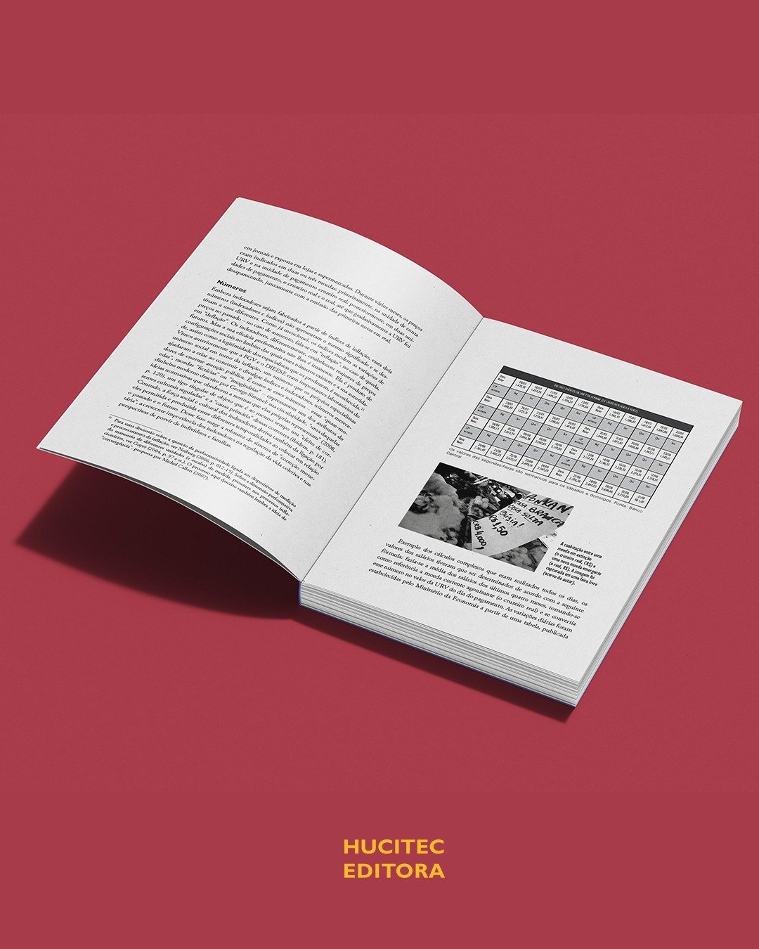 Números em ação: desvendando atores, práticas e infraestruturas de quantificação | Alexandre de Paiva Rio Camargo, Moisés Kopper, Eugênia Motta (orgs.) - Imagem 5