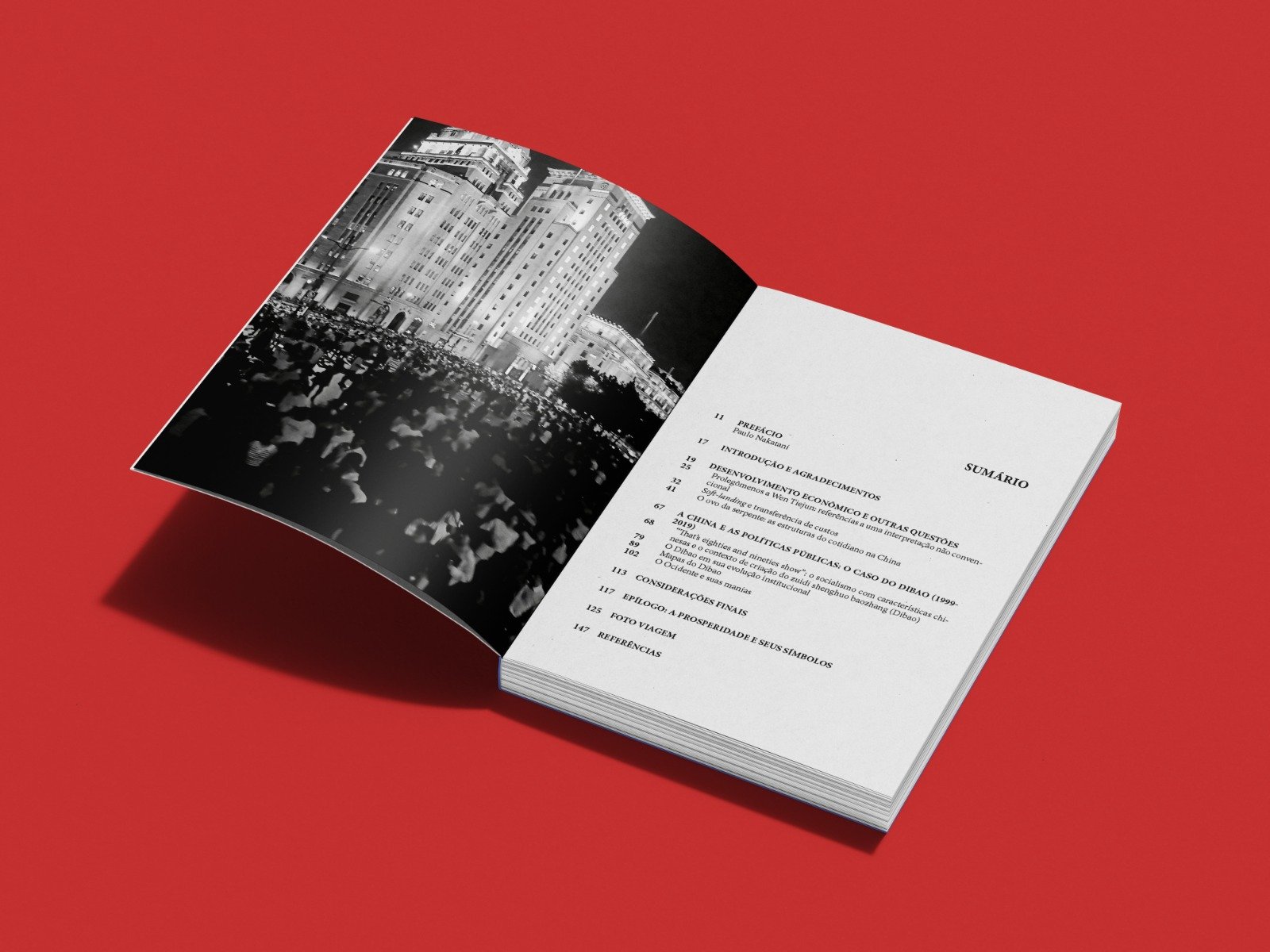 China: política social, desenvolvimento econômico e contradições contemporâneas | Rogério Naques Faleiros - Imagem 6