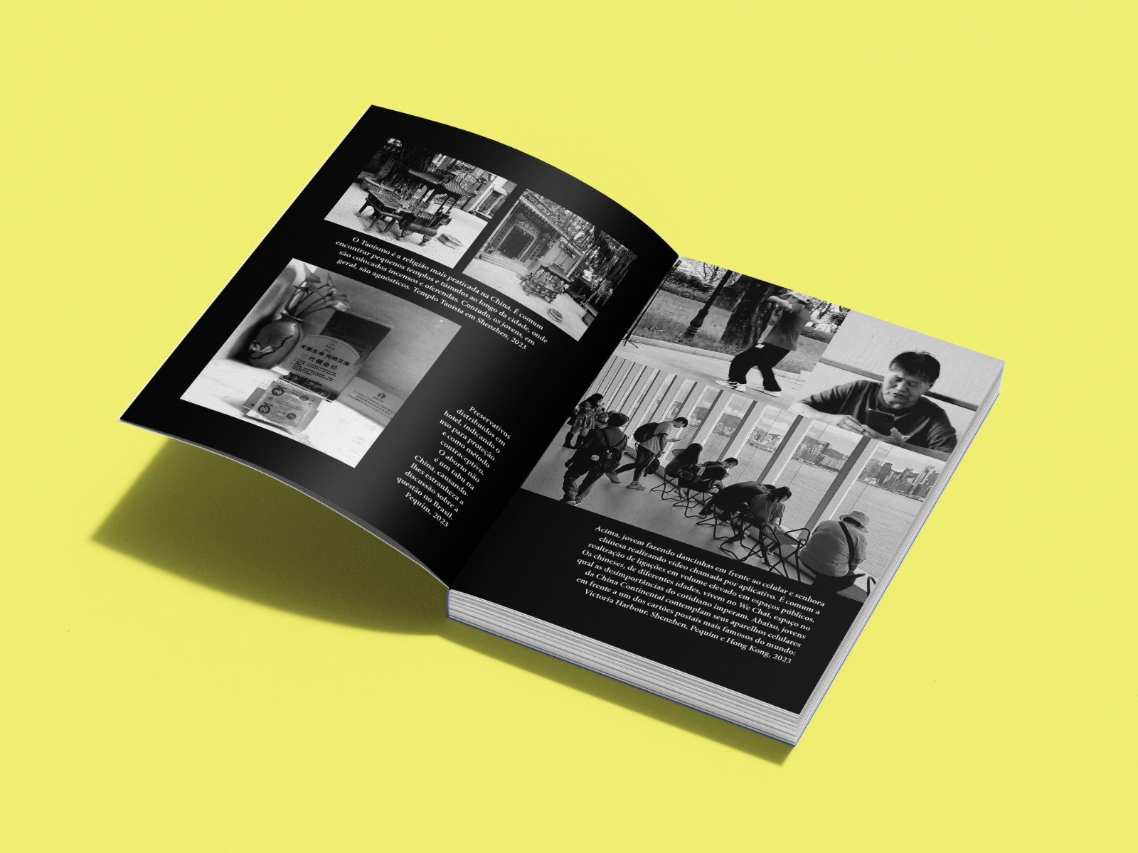 China: política social, desenvolvimento econômico e contradições contemporâneas | Rogério Naques Faleiros - Imagem 5