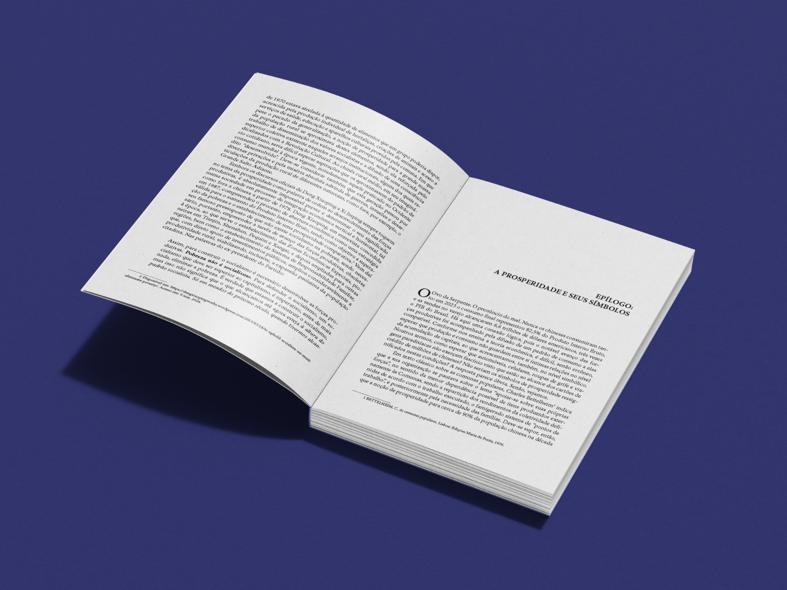 China: política social, desenvolvimento econômico e contradições contemporâneas | Rogério Naques Faleiros - Imagem 4