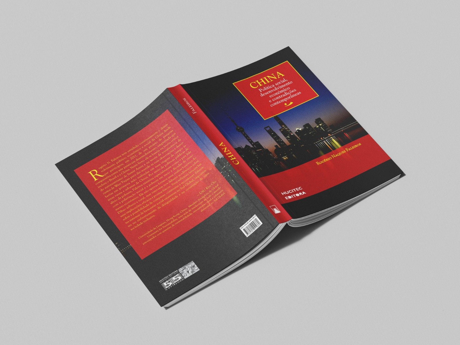 China: política social, desenvolvimento econômico e contradições contemporâneas | Rogério Naques Faleiros - Imagem 3